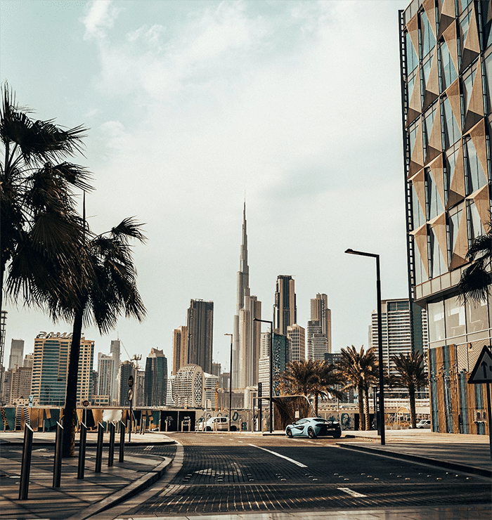 Grow from Dubai banner